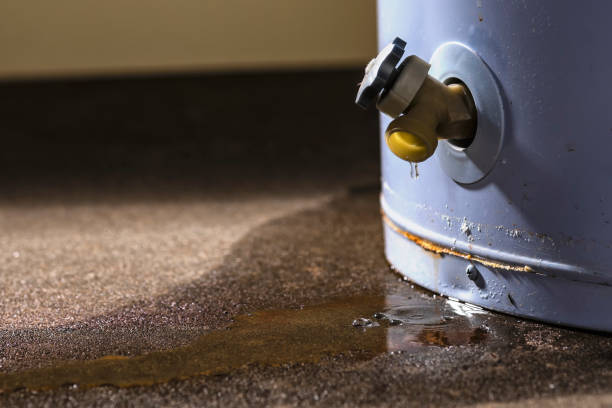 Water damage restoration mold remediation in Beach Haven West, NJ