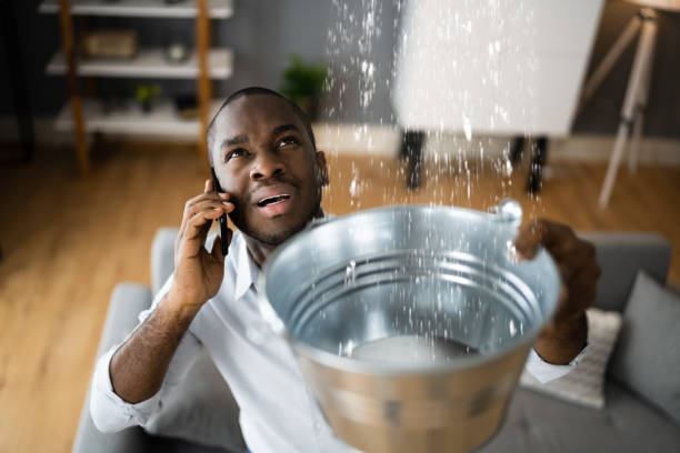 Best 24-hour water damage restoration  in Beach Haven West, NJ