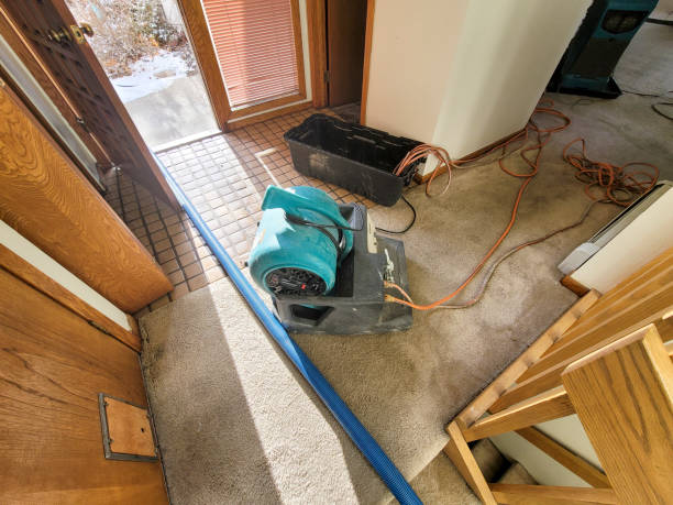 Best Sewage cleanup and water damage restoration  in Beach Haven West, NJ