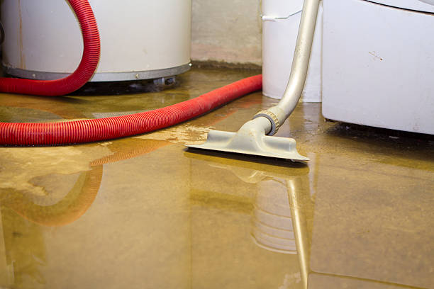 Best Water damage contractors near me  in Beach Haven West, NJ