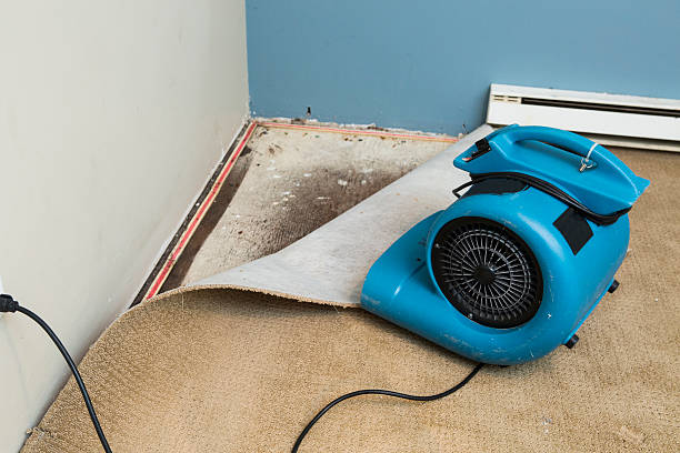  Beach Haven West, NJ Water damage restoration Pros